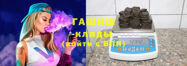 2c-b Пестово