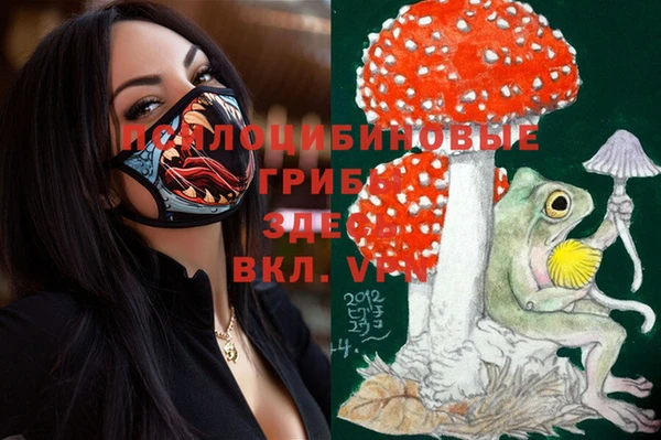 марки lsd Пересвет