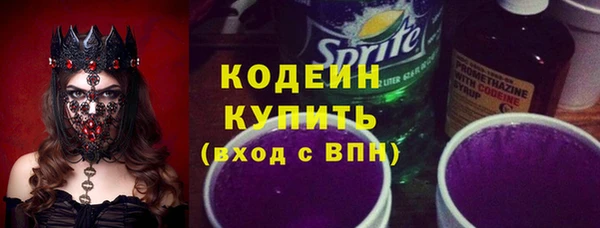 2c-b Пестово