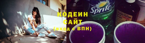 2c-b Пестово