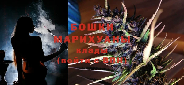 2c-b Пестово