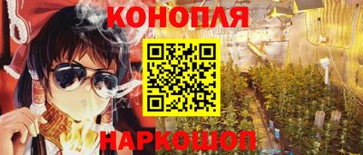 jwh Бийск