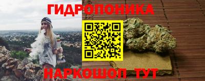 jwh Бийск