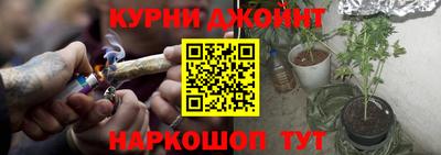 jwh Бийск