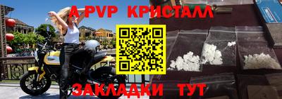 jwh Бийск