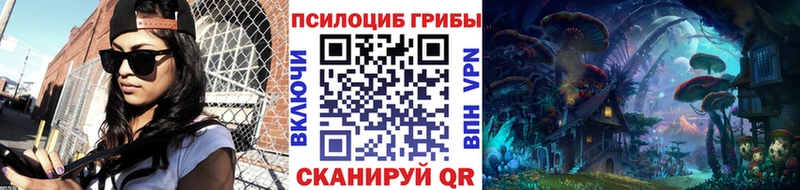 Галлюциногенные грибы Psilocybe  Кореновск 