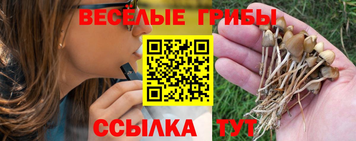 Галлюциногенные грибы мухоморы Кореновск